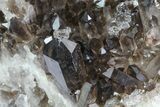 Dark Smoky Quartz Crystal Cluster - Brazil #80180-2